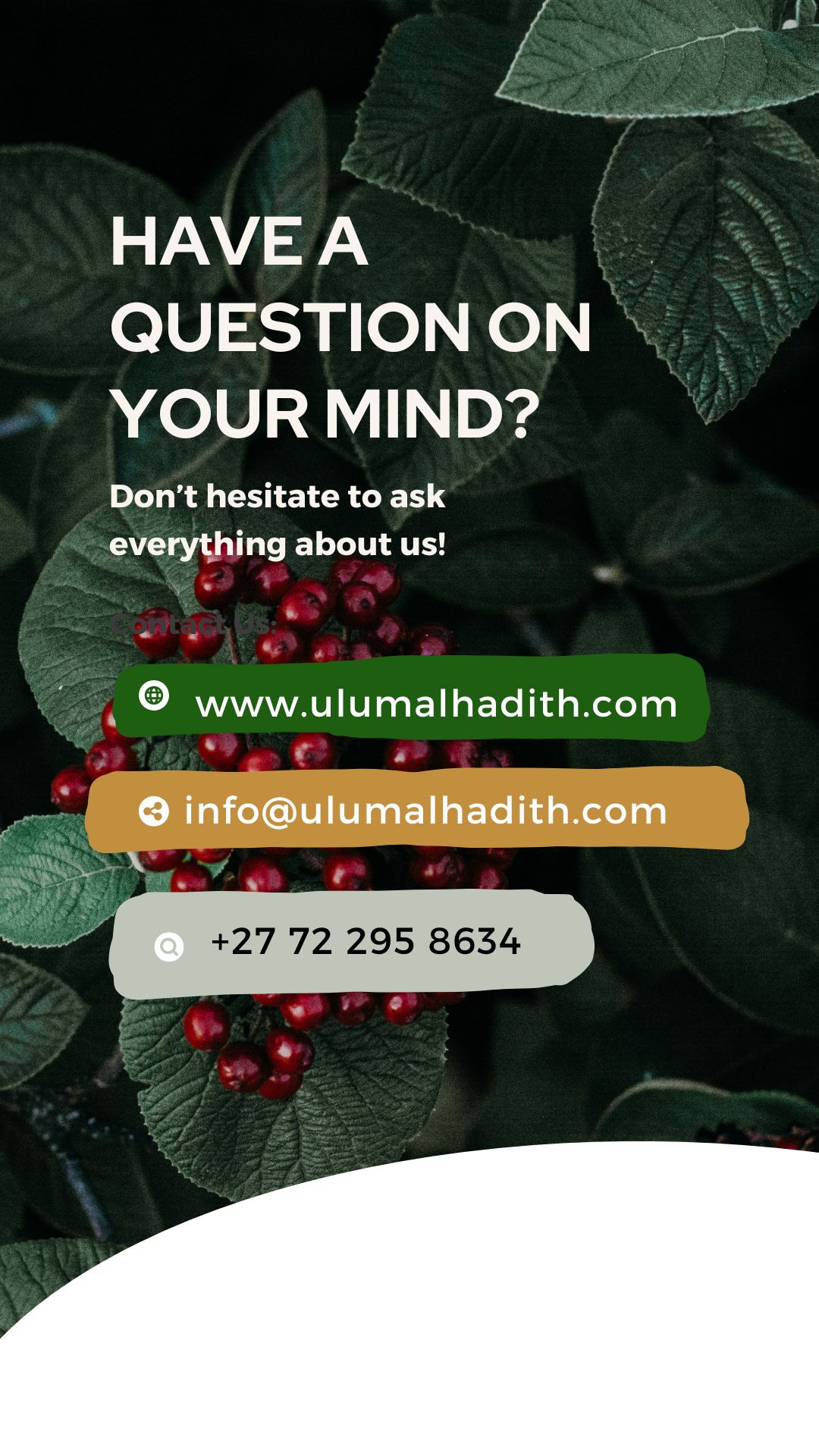 Beige Abstract Contact Us Instagram Story (2)